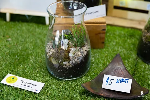 Copyright : Michael Bally